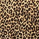 Carolyn embellished fitted crewneck sweater in merino wool PANTHERA LEOPARD